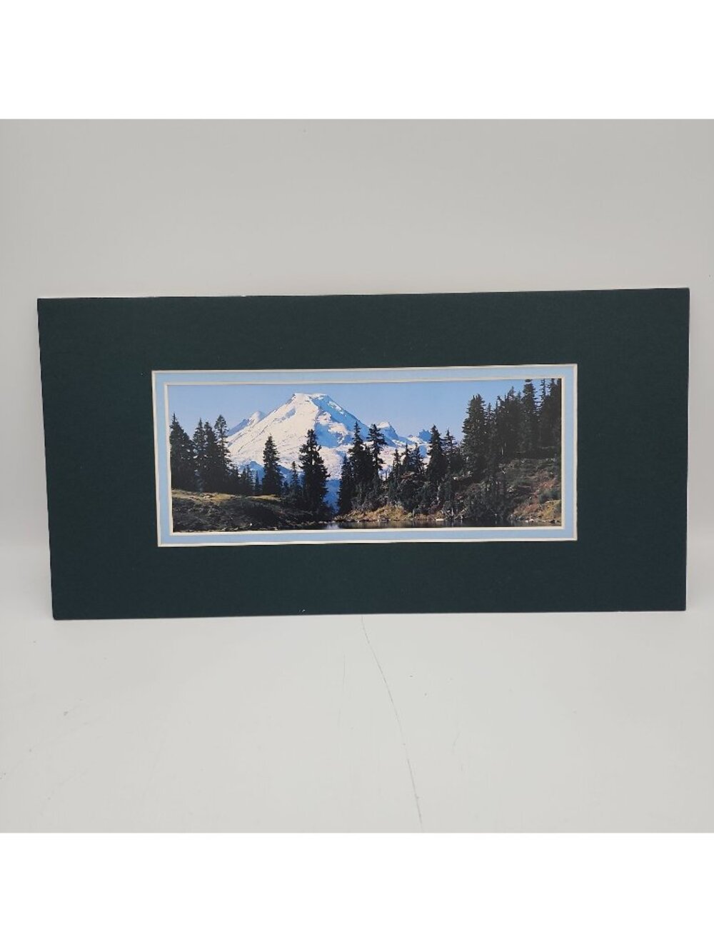 Snowy Mountains Pine Trees Nature Photography Washington Michael Lisa Lindon